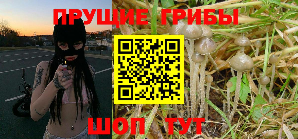 Бирск  Псилоцибиновые грибы Psilocybe  Галлюциногенные грибы Cubensis  Вход с VPN 