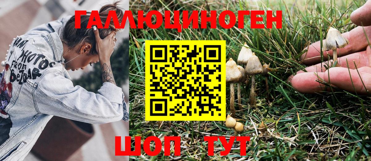 Галлюциногенные грибы мухоморы Бирск